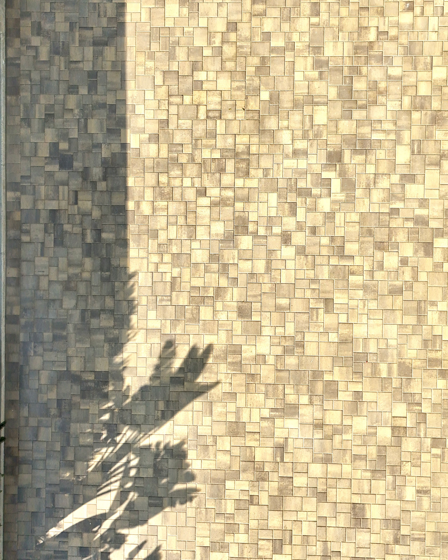 Glendale driveway installed with Courtyard pavers in Sand Stone Mocha color